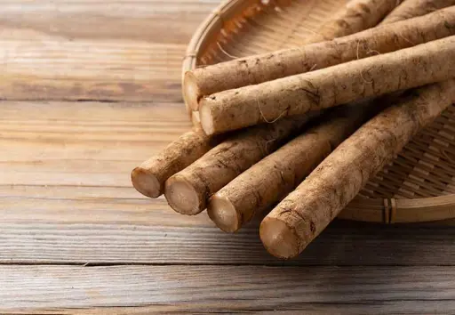 Burdock Root Vegetable - Also Known as Gobo