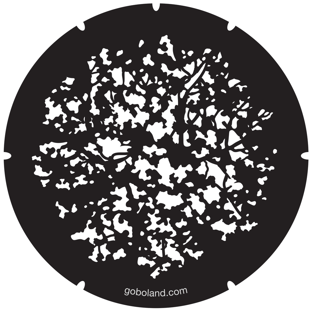 2 260 039 - Cherry Blossom