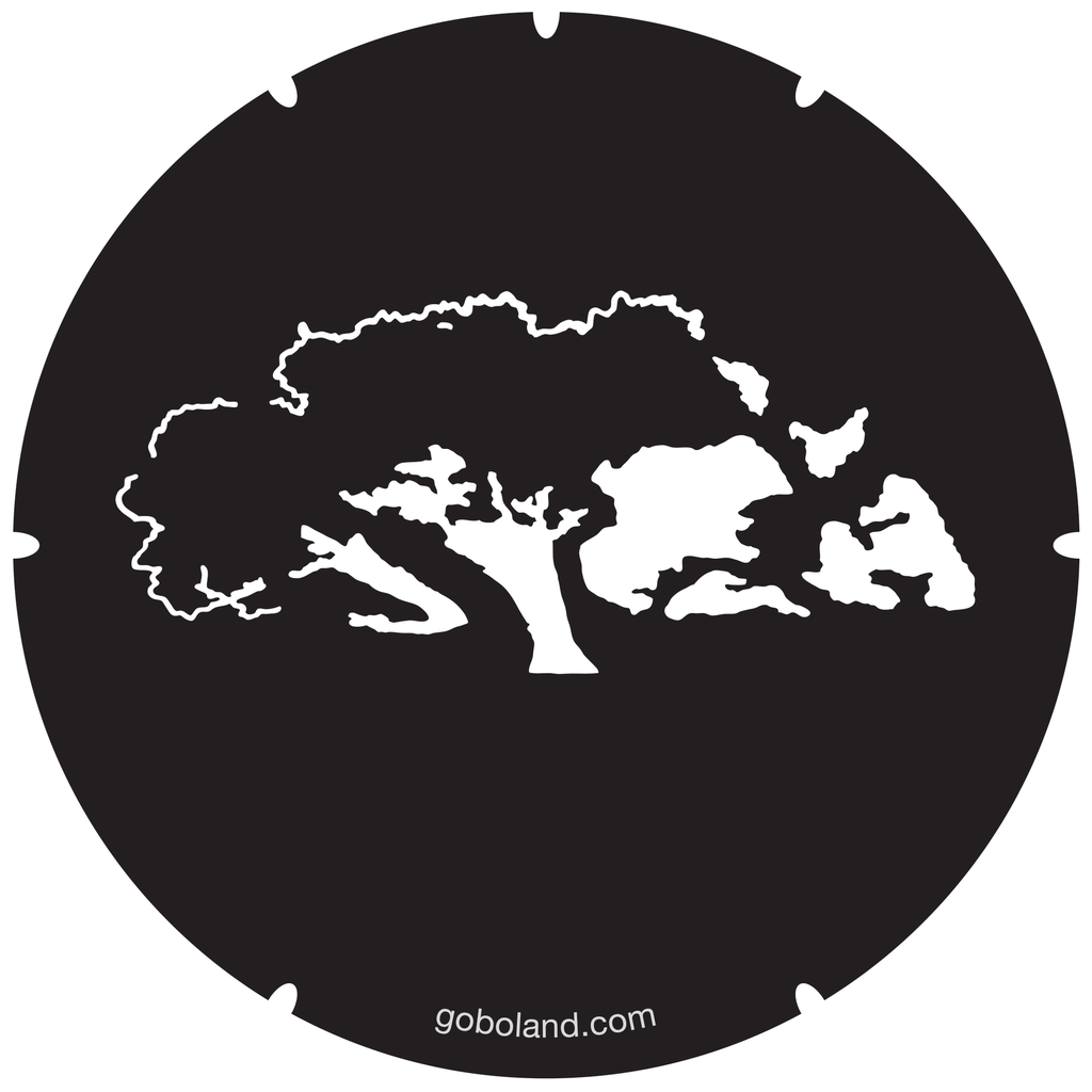 2 261 006 - Oak Tree