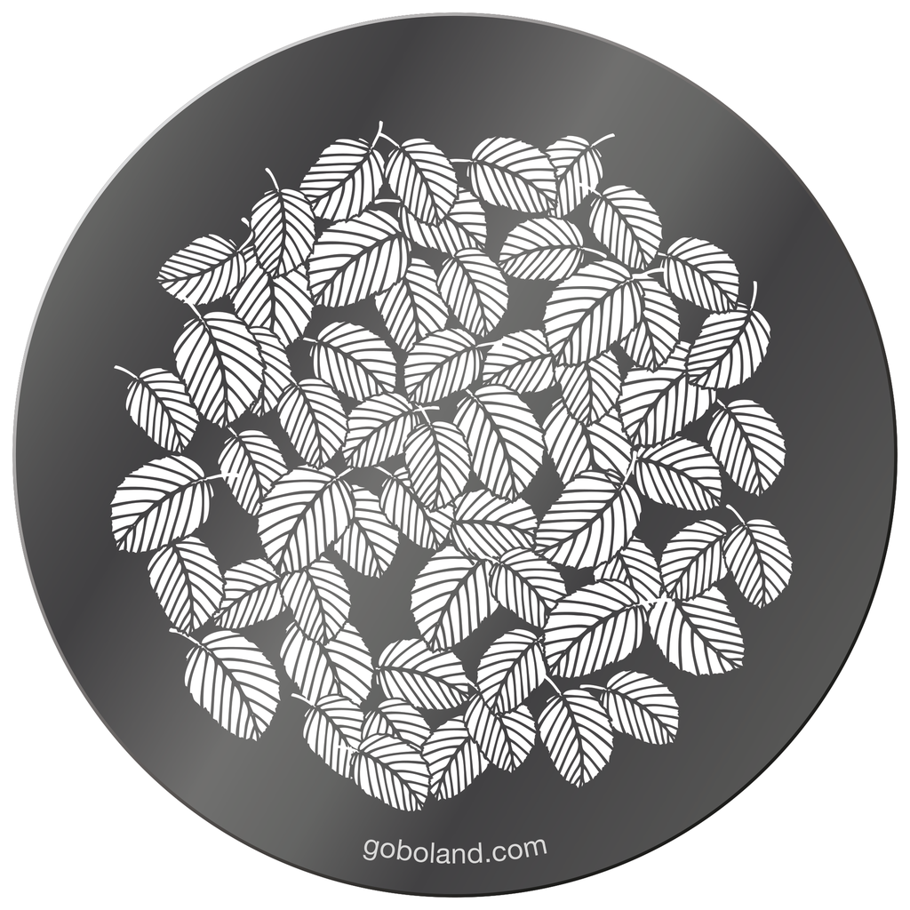 1 260 006 - Beech Leaves Medium