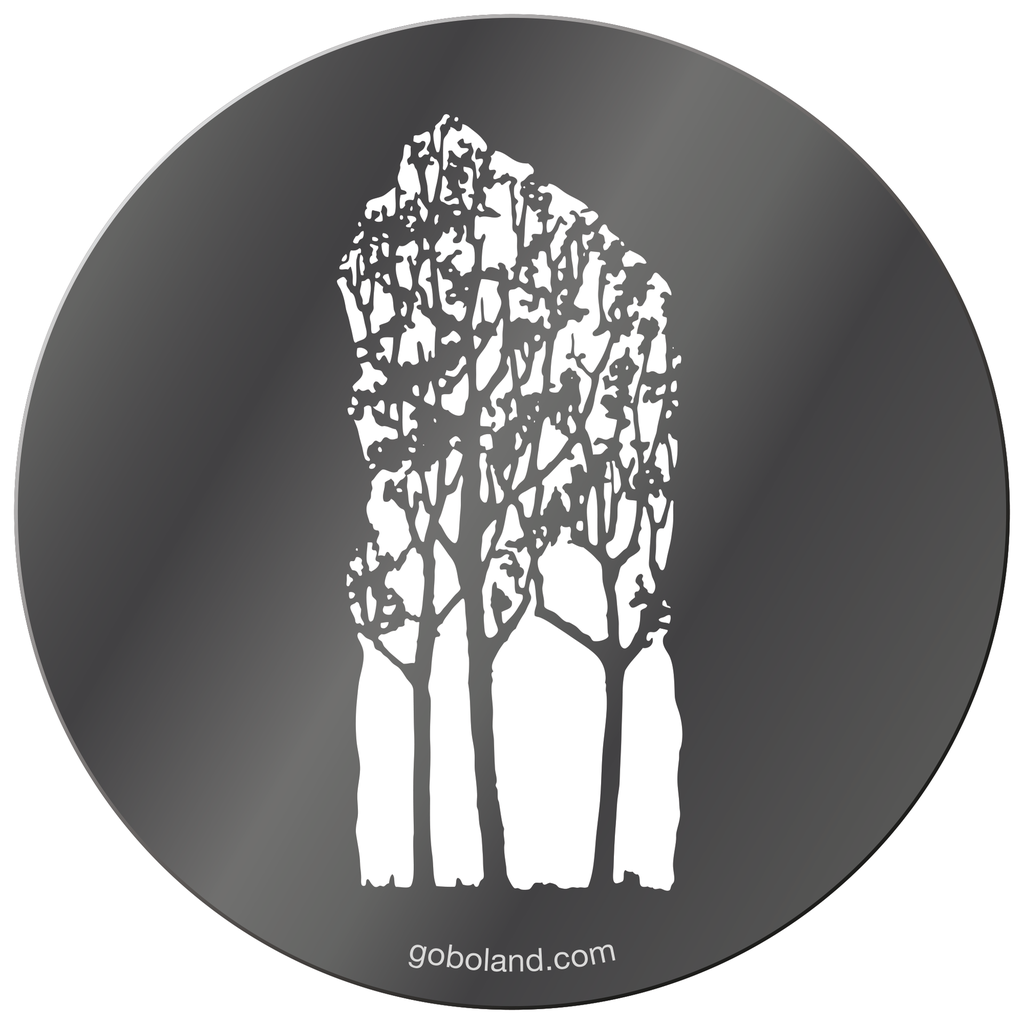 1 261 001 - Autumn Tree