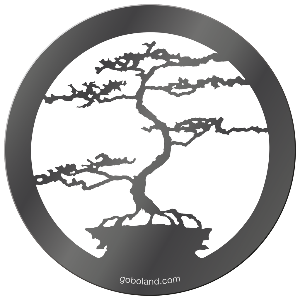 1 261 020 - Bonsai 1