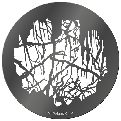 1 260 038 - Haunted Wood