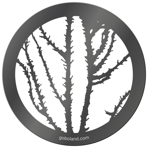 1 260 041 - Thornbush