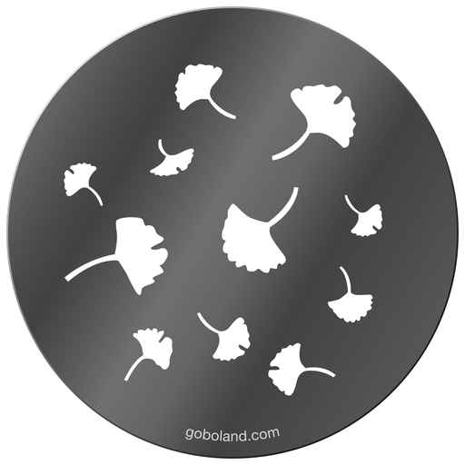 1 260 055 - Japanese Ginkgo Leaves-Icyou