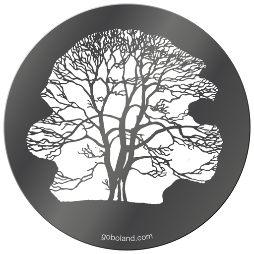 1 261 014 - Winter Tree