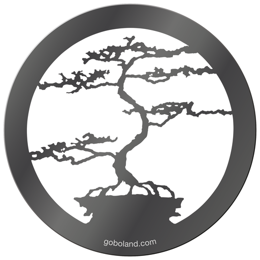 1 261 020 - Bonsai 1