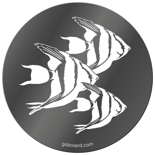 1 271 666 - Angelfish Shoal