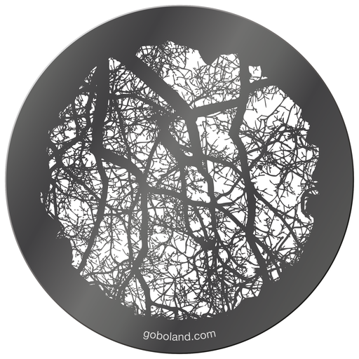 1 285 005 - Branches 5