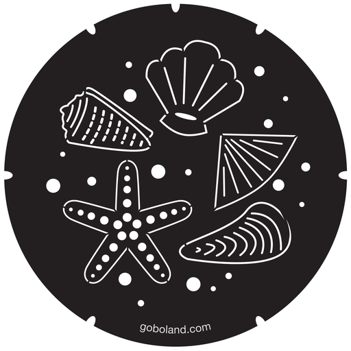 2 250 030 - Sea Shells 1