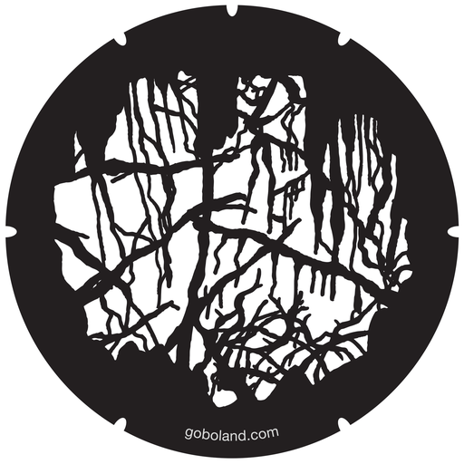 2 260 038 - Haunted Wood