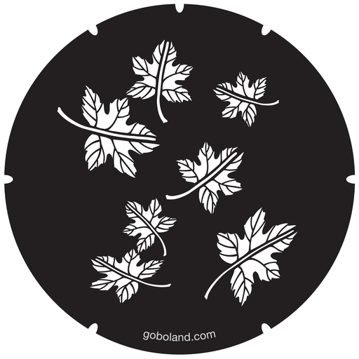 2 260 040 - Fallen Leaves