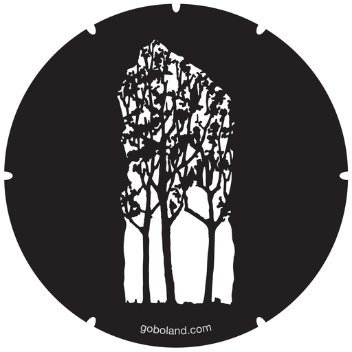 2 261 001 - Autumn Tree